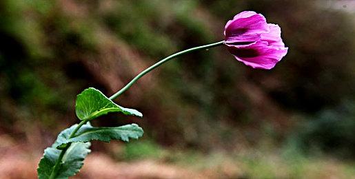 冒险生存游戏《冬日幸存者》上线Steam 10月27日发售